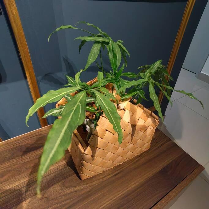Alocasia Geniehome 3Br Free Wifi @ Utropolis Shah Alam Exterior foto